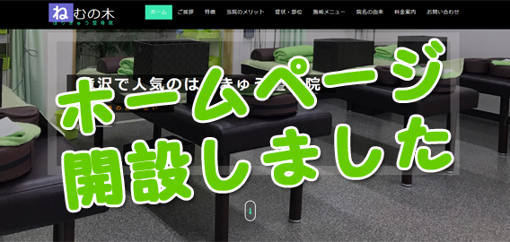 岩手県滝沢市の整骨院 ねむの木はりきゅう整骨院/ホームページアップ