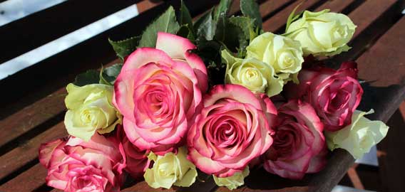 岩手県滝沢市の整骨院 ねむの木はりきゅう整骨院/ゴールデンウィークのお知らせ