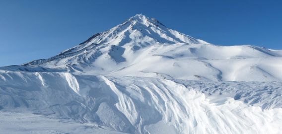 岩手県滝沢市の整骨院 ねむの木はりきゅう整骨院/年末年始のお知らせ
