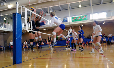岩手県滝沢市の整骨院 ねむの木はりきゅう整骨院/膝蓋靭帯炎